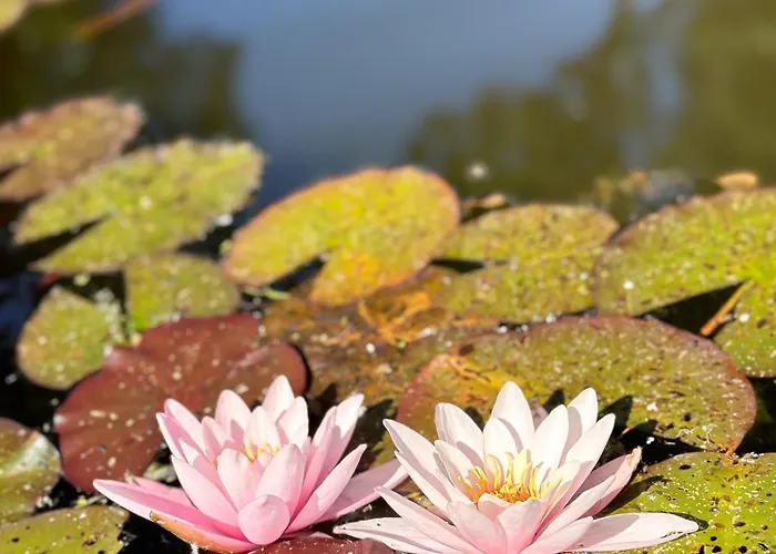 Mustion Linna / Manor