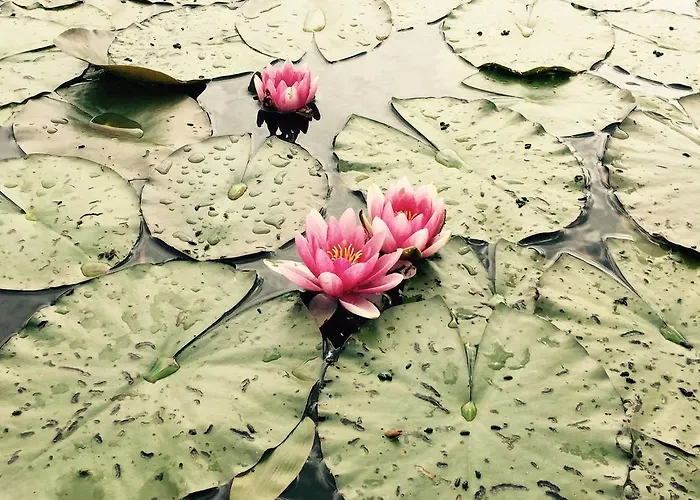 Mustion Linna / Manor